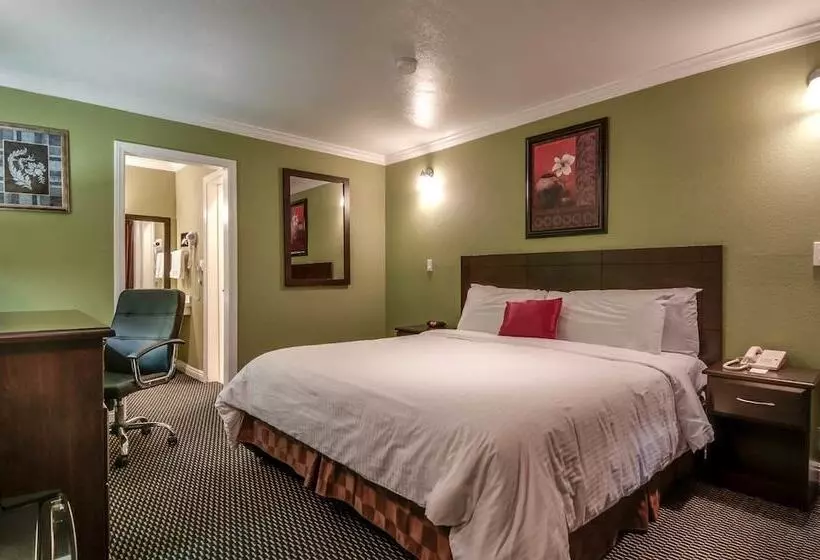 בית מלון כפרי Vagabond Inn San Pedro