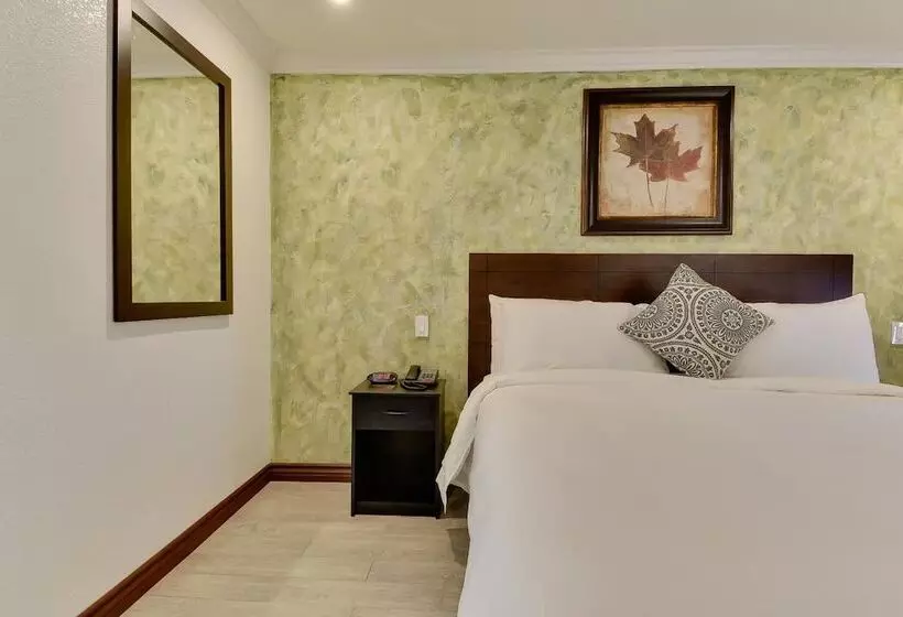 בית מלון כפרי Vagabond Inn San Pedro