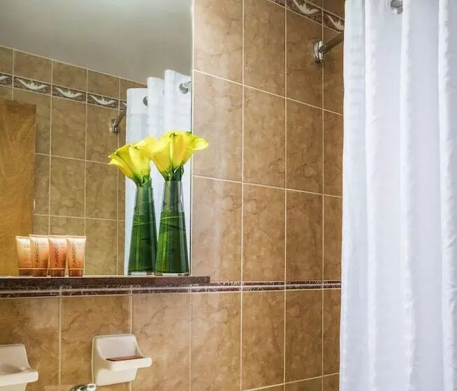 호텔 The Belvedere