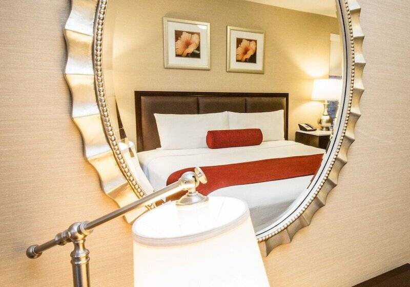 酒店 The Belvedere