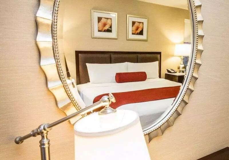 호텔 The Belvedere