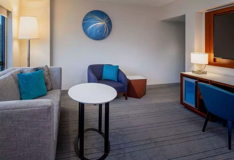 Отель Hyatt Regency Crystal City At Reagan National Airport