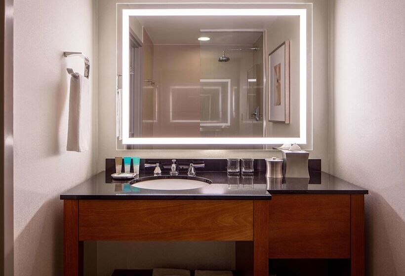 فندق Hyatt Regency Crystal City At Reagan National Airport