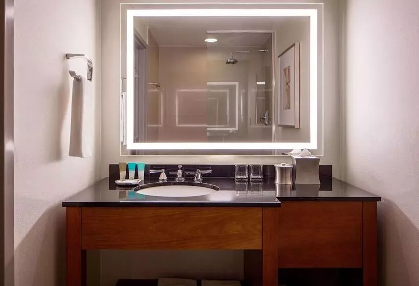 Отель Hyatt Regency Crystal City At Reagan National Airport