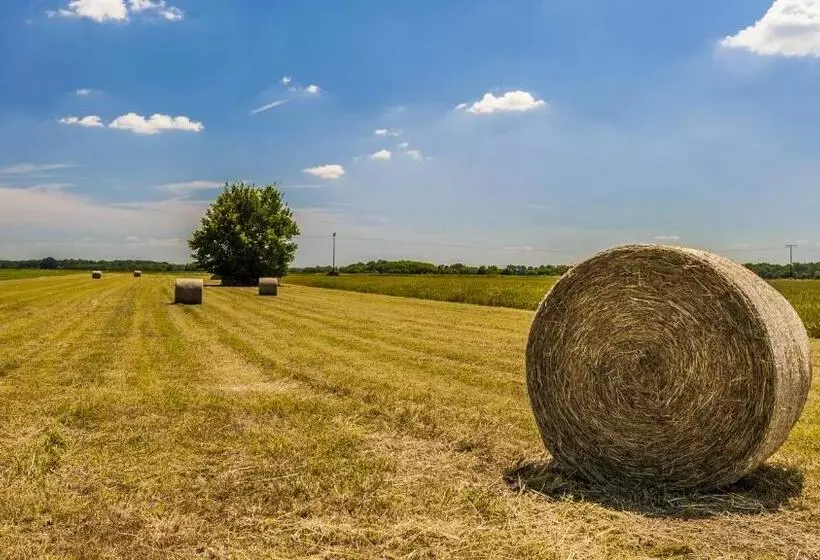 Termal   Terme 3000   Sava Hotels & Resorts