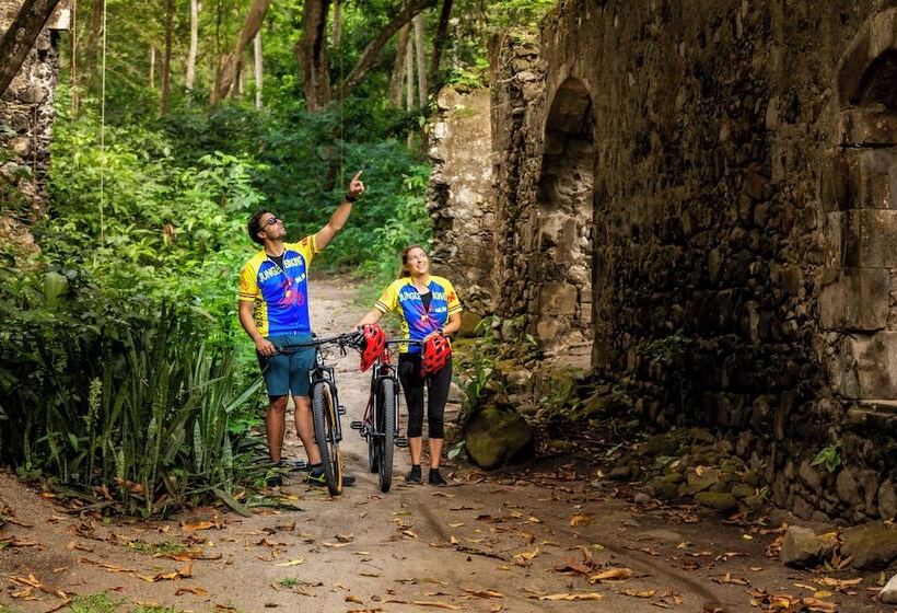 هتل Anse Chastanet Resort