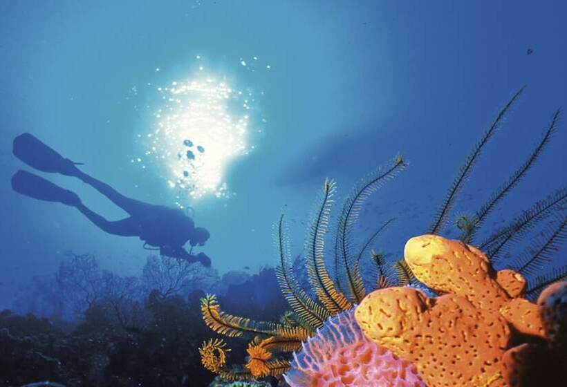 هتل Anse Chastanet Resort