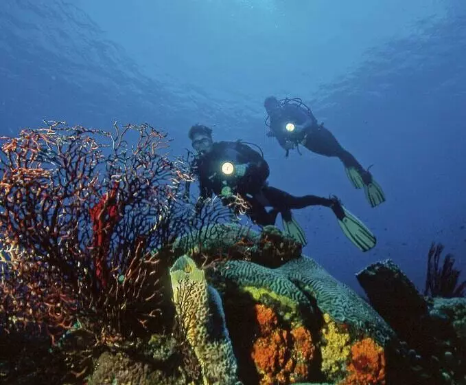 هتل Anse Chastanet Resort