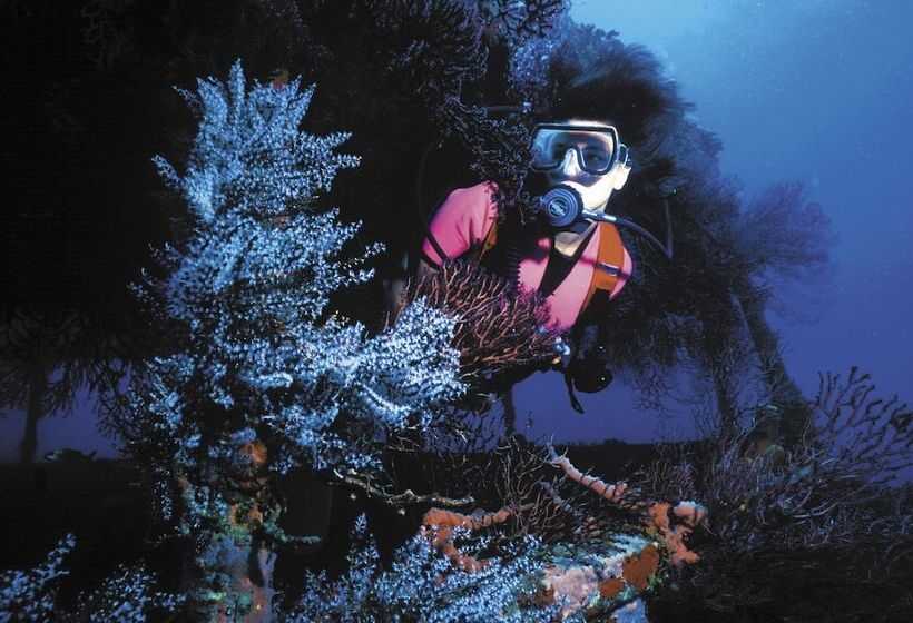 هتل Anse Chastanet Resort