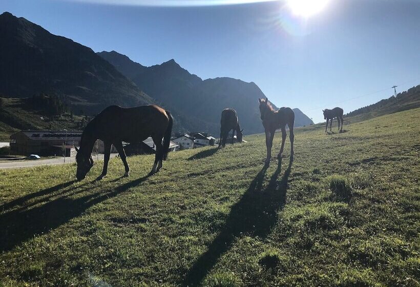 هتل Jagdschloss Resort