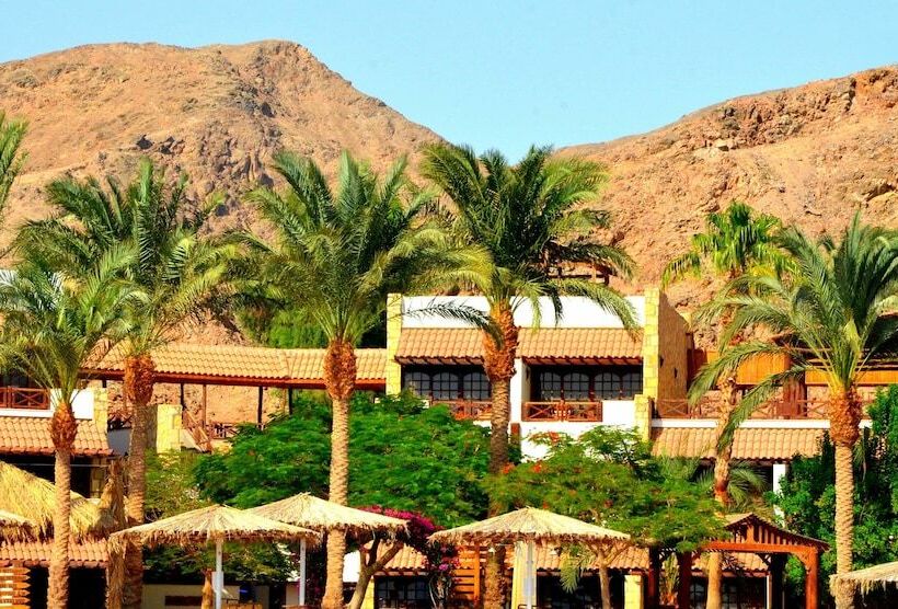 Steigenberger Hotel & Nelson Village, Taba