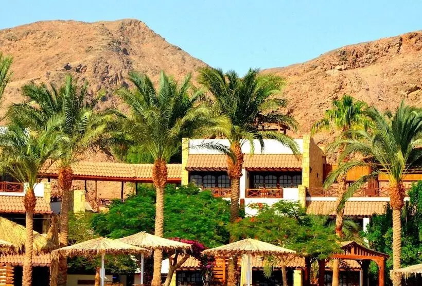 Steigenberger Hotel & Nelson Village, Taba