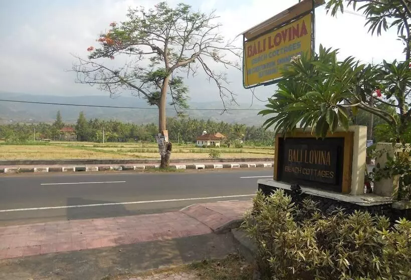 Отель Bali Lovina Beach Cottages