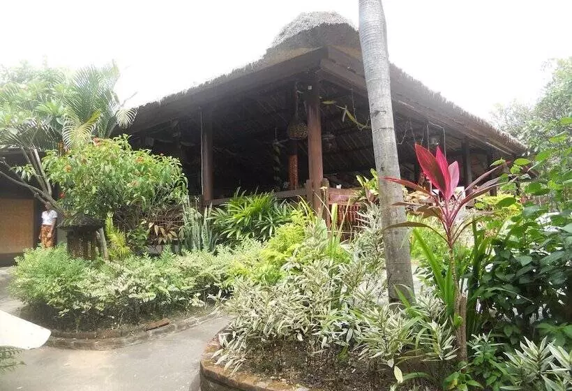 Отель Bali Lovina Beach Cottages