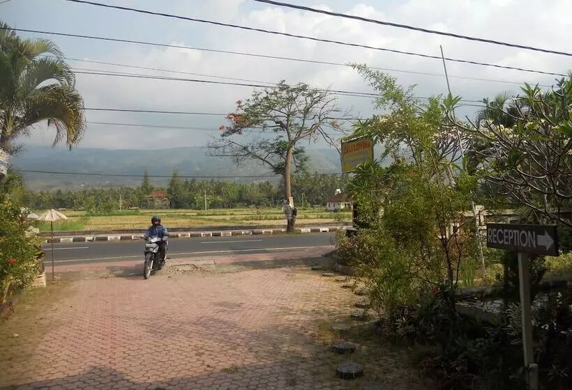 Отель Bali Lovina Beach Cottages