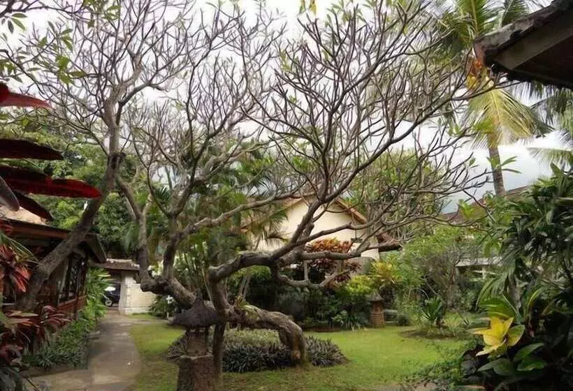 Отель Bali Lovina Beach Cottages