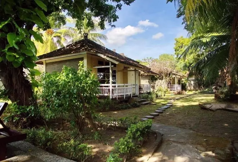 Отель Bali Lovina Beach Cottages