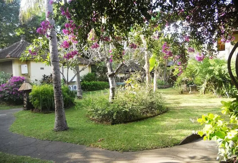 Отель Bali Lovina Beach Cottages