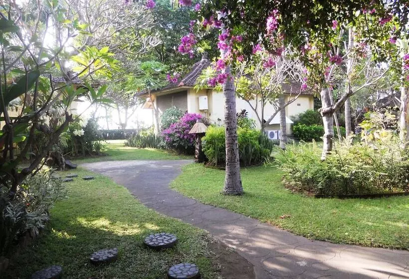 Отель Bali Lovina Beach Cottages