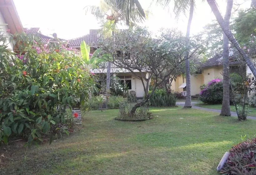 Отель Bali Lovina Beach Cottages