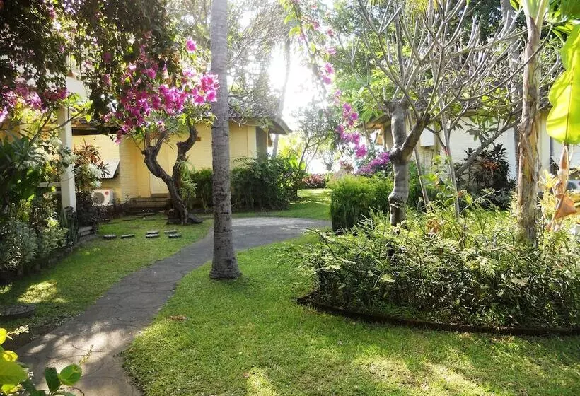 Отель Bali Lovina Beach Cottages