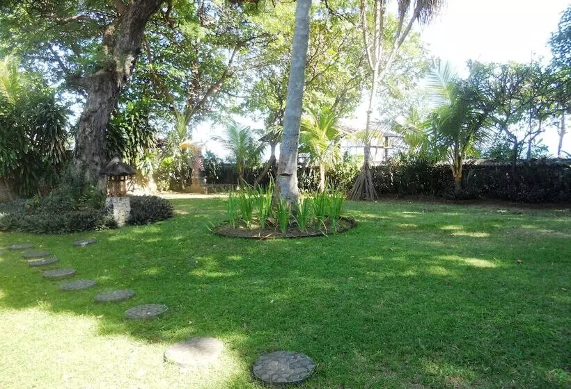 Отель Bali Lovina Beach Cottages