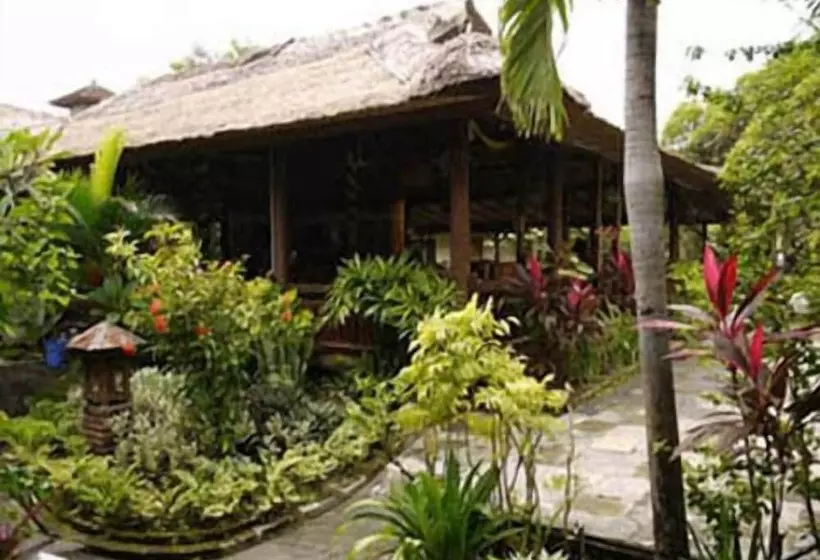 Отель Bali Lovina Beach Cottages