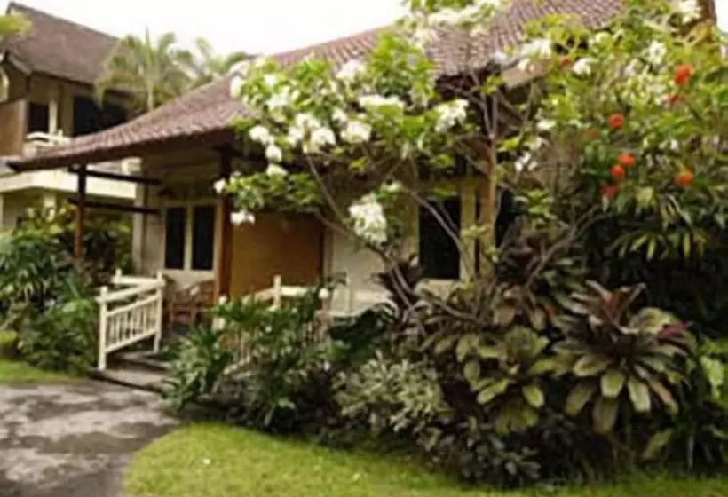 Отель Bali Lovina Beach Cottages
