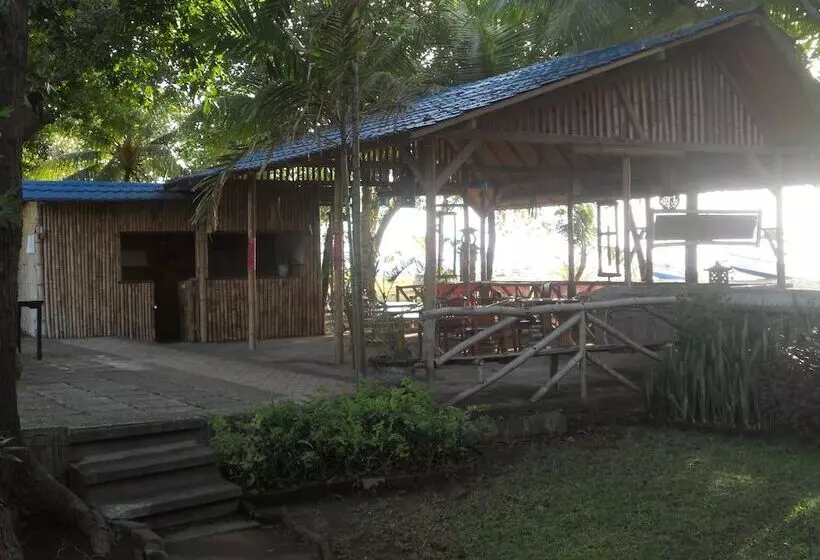 Отель Bali Lovina Beach Cottages