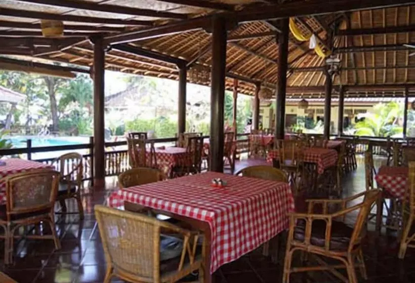 Отель Bali Lovina Beach Cottages