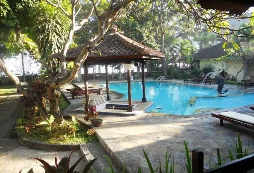 Отель Bali Lovina Beach Cottages