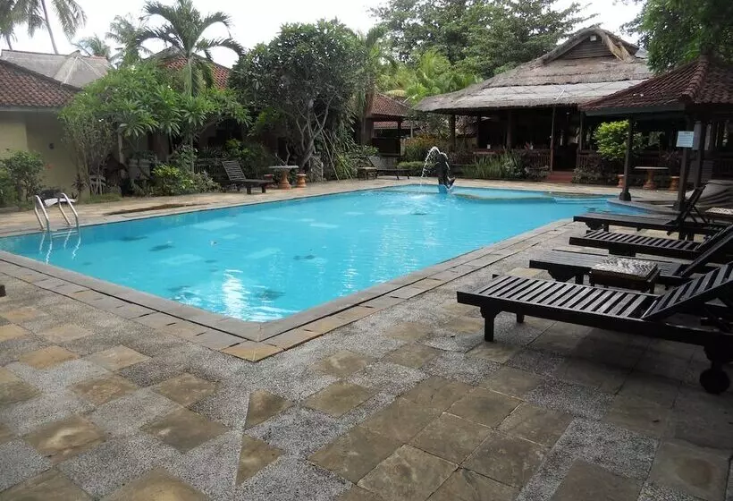 Отель Bali Lovina Beach Cottages