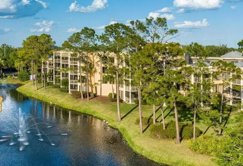 Hotel Marriott's Royal Palms