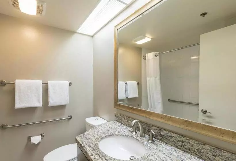 Hotel Marriott's Royal Palms