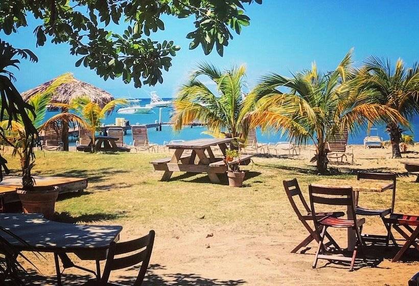 هتل Oualie Beach Resort