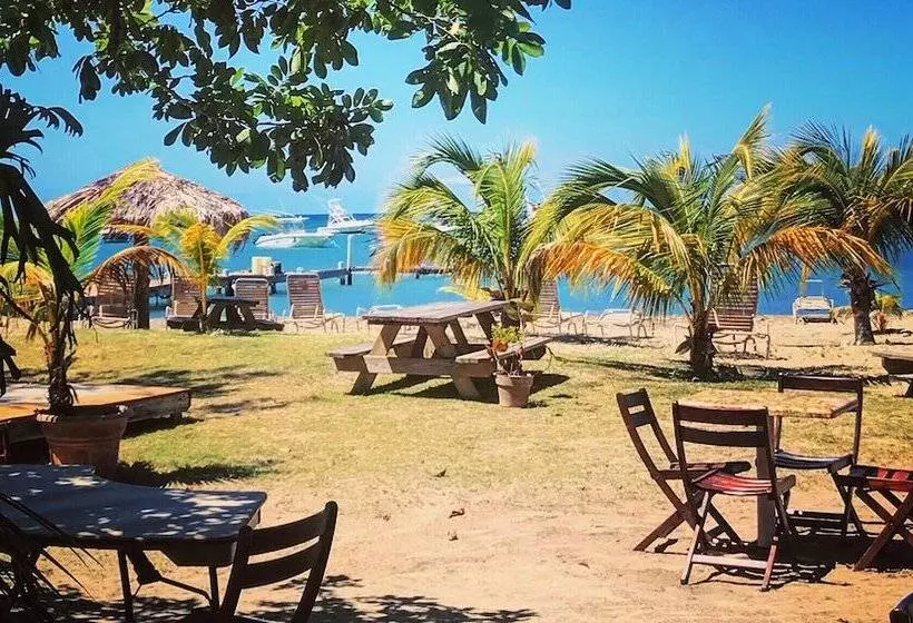 Hôtel Oualie Beach Resort