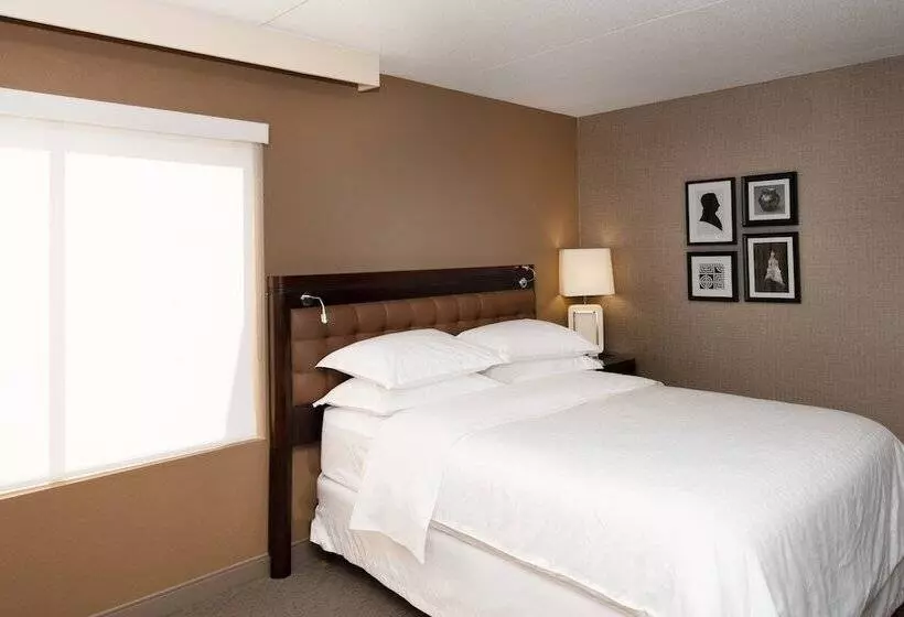 酒店 Sheraton Hartford South