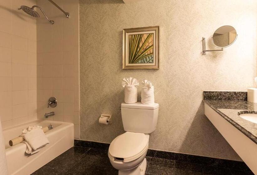 The Lago Mar Beach Resort And Club