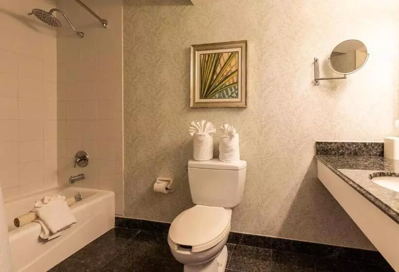 The Lago Mar Beach Resort And Club