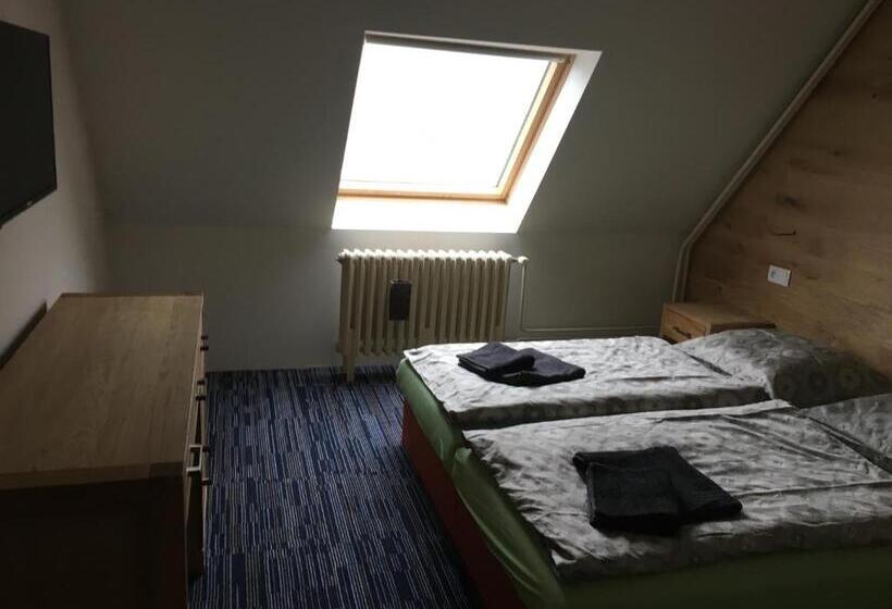 בית מלון כפרי žalý Apartmány