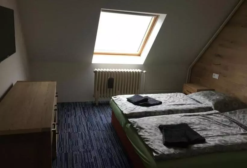 Hotel žalý Apartmány