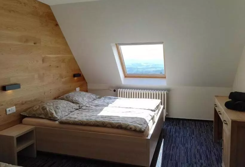 Hotel žalý Apartmány