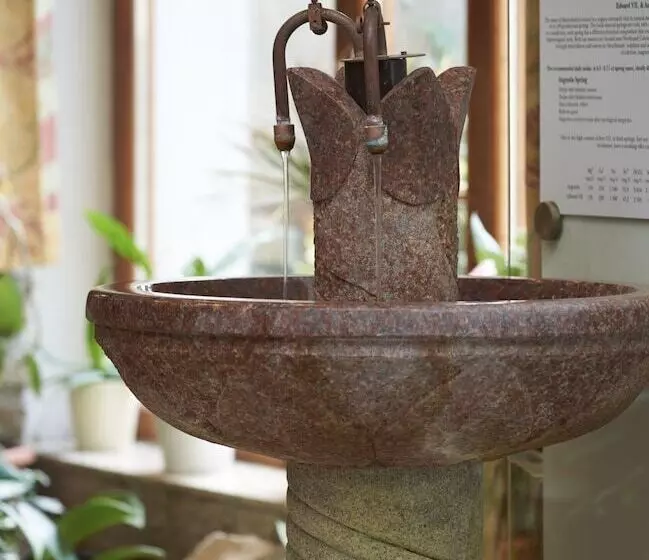 Orea Spa Hotel San Remo Mariánské Lázně