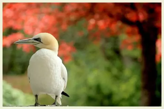 Parkhotel Luisenhöhe