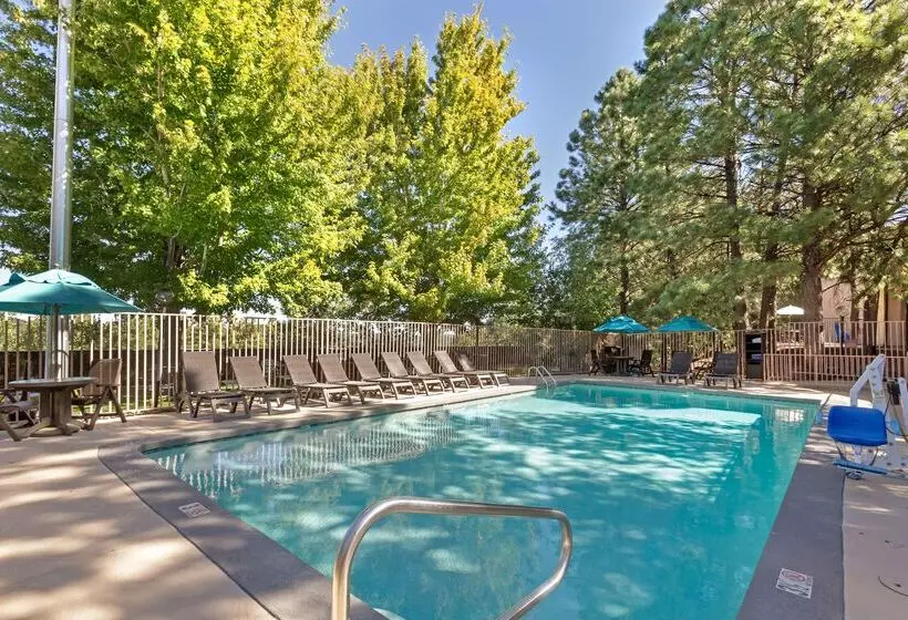 Отель Best Western Plus Inn Of Williams