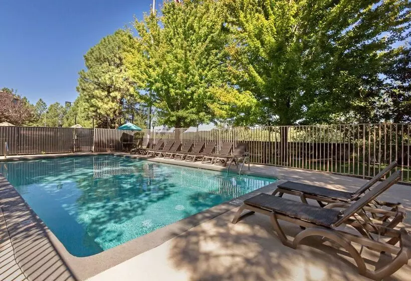 Отель Best Western Plus Inn Of Williams