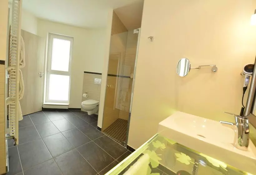 Отель Best Western Plus Palatin Kongress