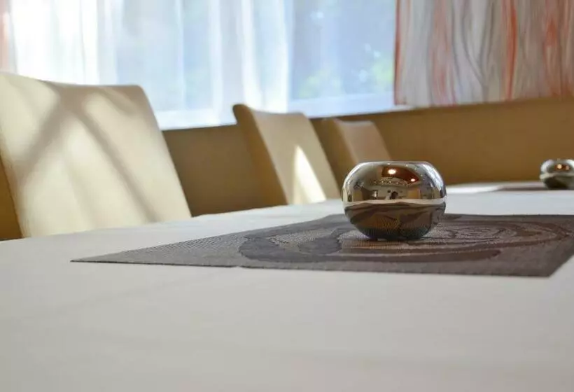 ホテル Lázně Jupiter Bechyně