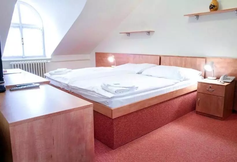 ホテル Lázně Jupiter Bechyně