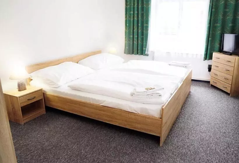 ホテル Lázně Jupiter Bechyně